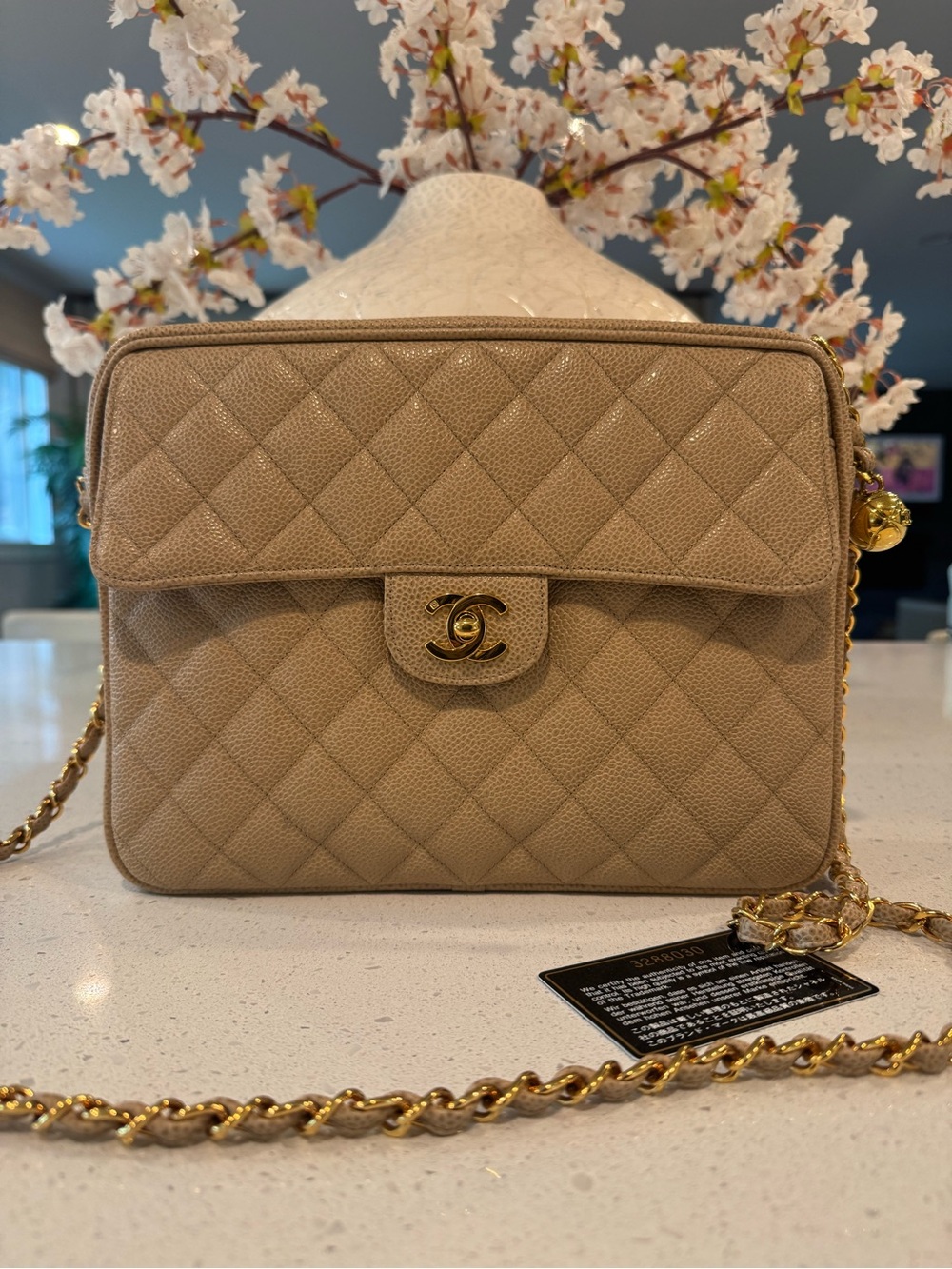 Chanel Vintage Caviar camera bag